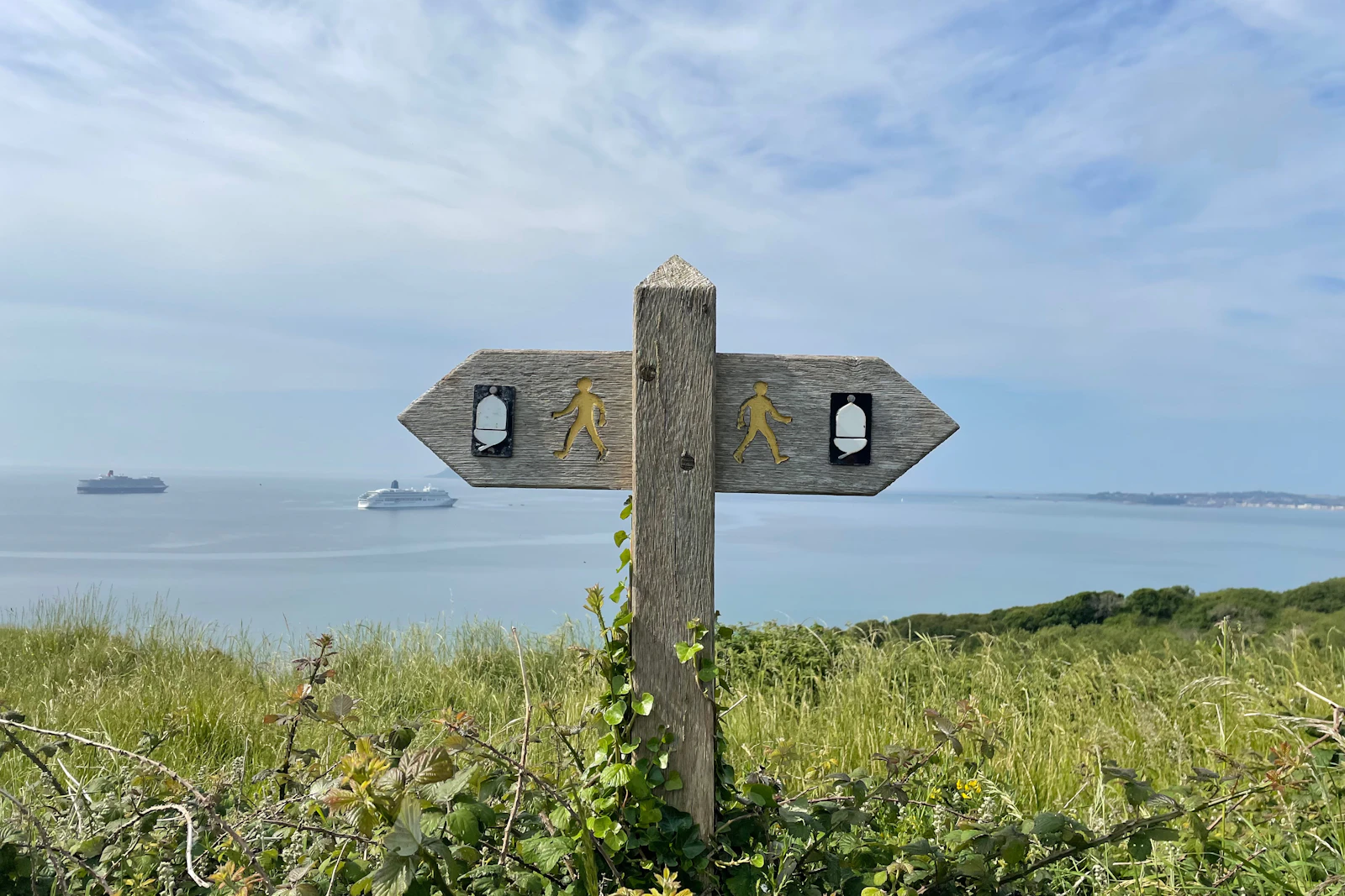 Holzwegweiser an einer Küstenwiese mit Blick aufs Meer – Bewerbungen bei hochschulstart priorisieren