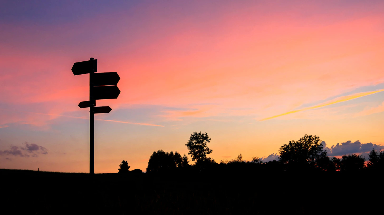 Silhouette eines Wegweisers mit mehreren Richtungsschildern im Abendrot – Hochschulwechsel Zahnmedizin: ins höhere Fachsemester