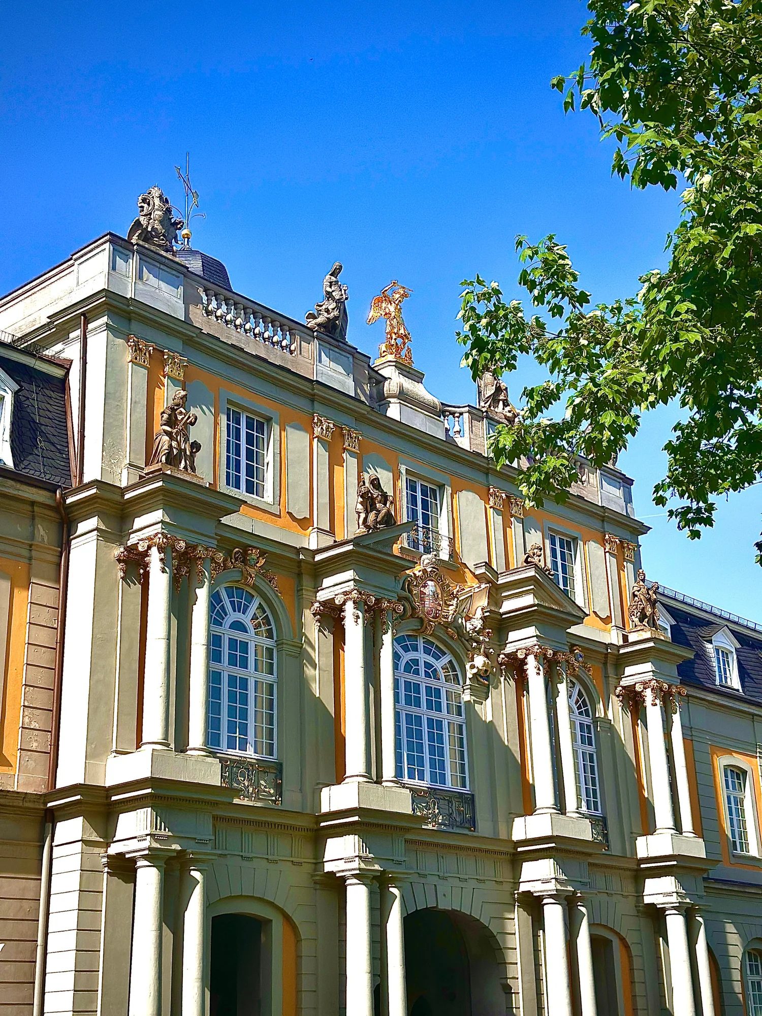 Campus der Universität Bonn – Zahnmedizinstudium in Bonn