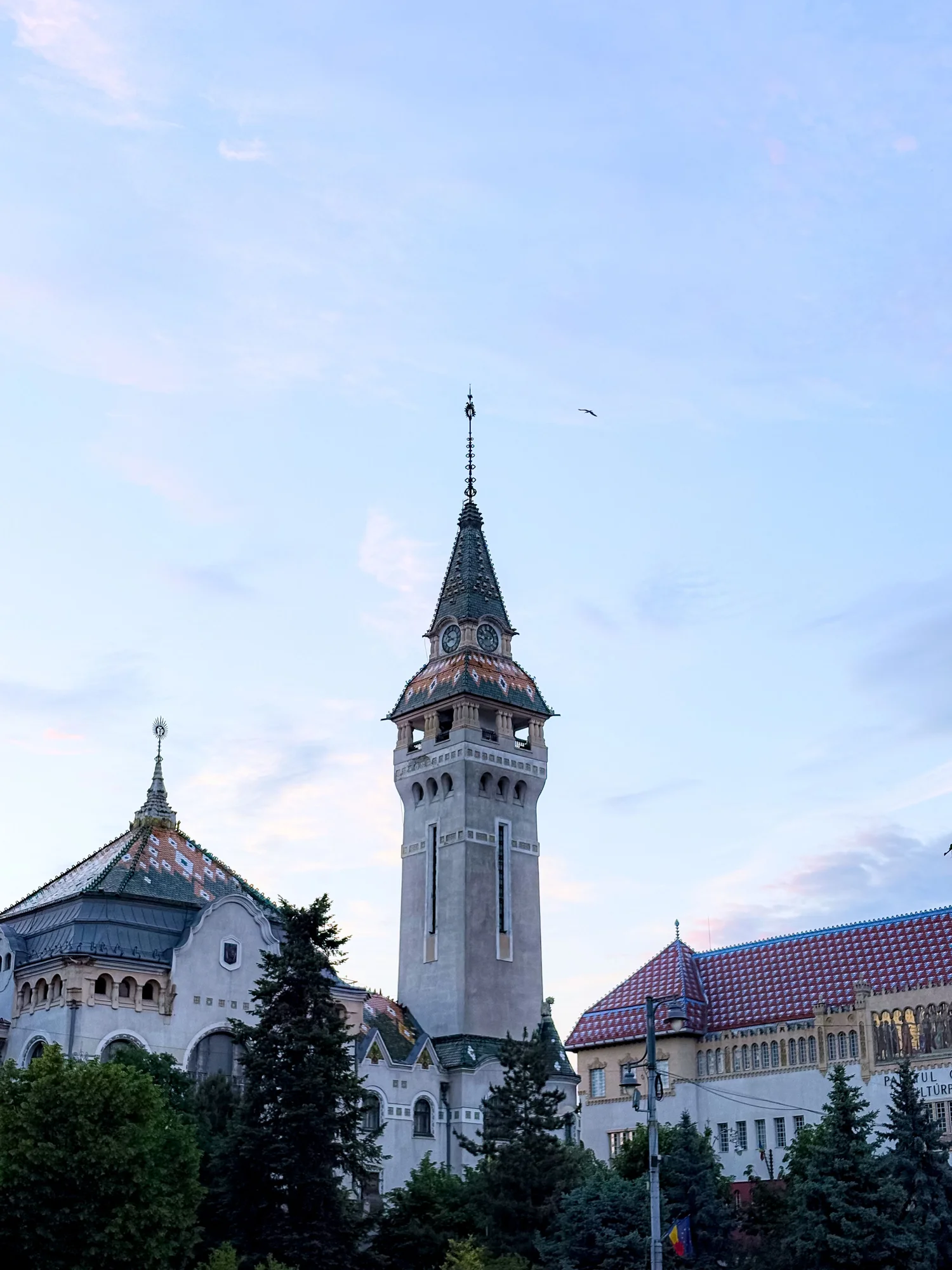 Stadtansicht von Târgu Mureș – Zahnmedizinstudium in Târgu Mureș